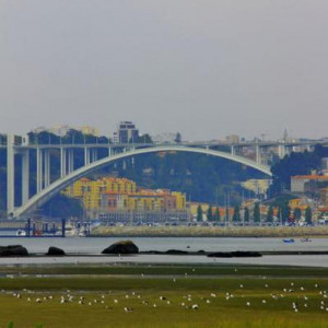 tour porto 3 420
