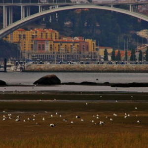 tour porto 3 423