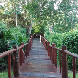 Do Buffet Para A Praia