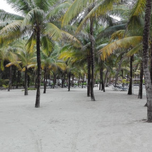 Praia