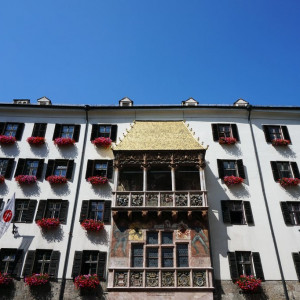 Golden-roof