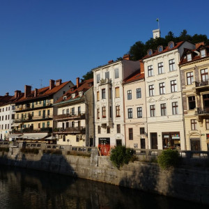Ljub