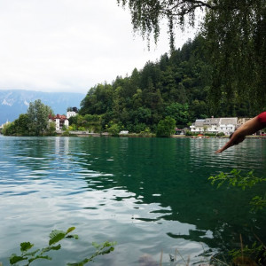 Bled