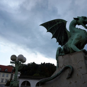 Dragons-everywhere