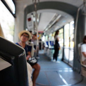 We-love-trams