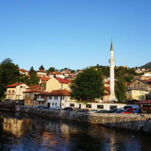 Bosnian-contrasts