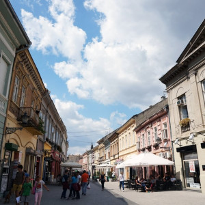 Novi street
