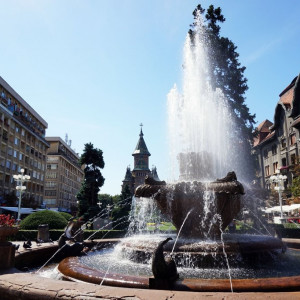 Timisoara