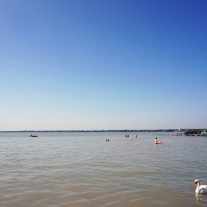 Balaton