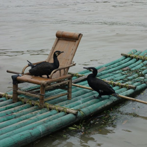Guilin 16