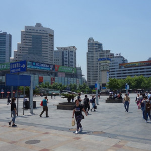 Xangai 8