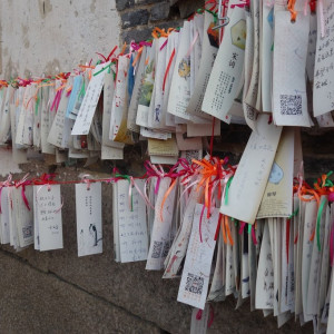 Suzhou 12