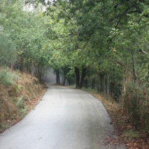 Lousã 20