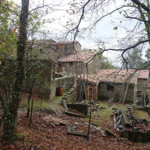 Lousã 22