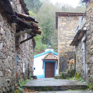 Lousã 24