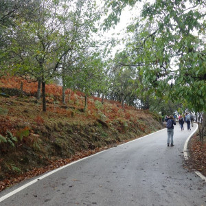 Lousã 25