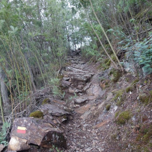 Lousã 33