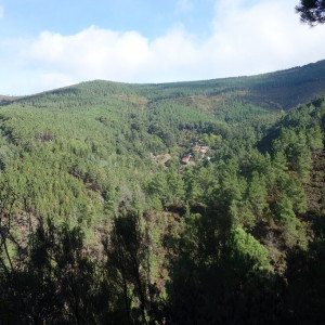 Lousã 45