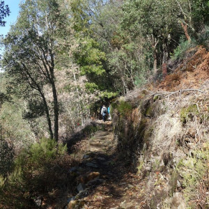 Lousã 50