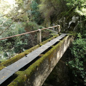 Lousã 51