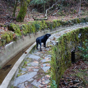Lousã 52