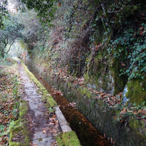 Lousã 55