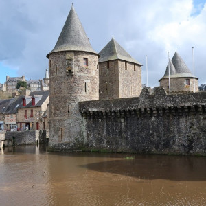 3 Fougères