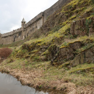 4 Fougères