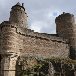 5 Fougères
