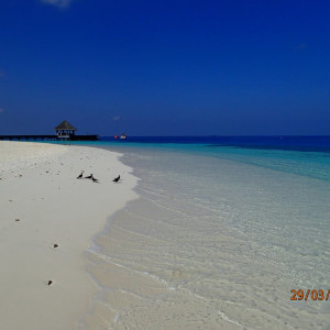 Praia Restaurante (2)