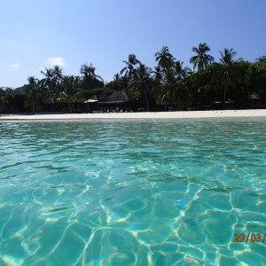Praia Restaurante