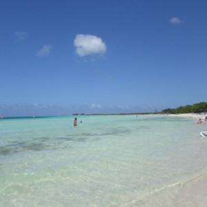 SAM_0869