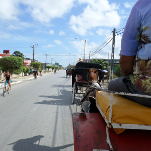 SAM_0682