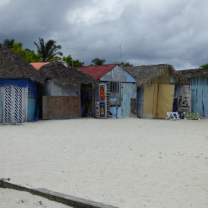 P1010409