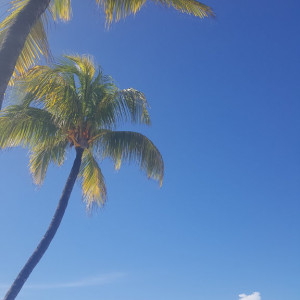 20180209_161917