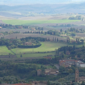 1 Toscana