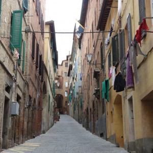38 Siena
