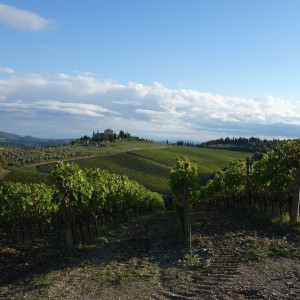 42 Chianti