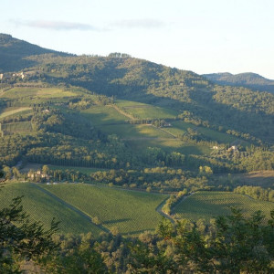 49 Chianti
