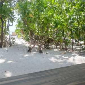 Maldivas2 (44)