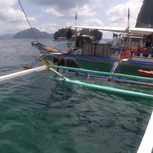 Boat1