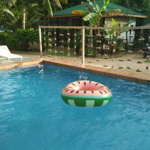 Caalan1