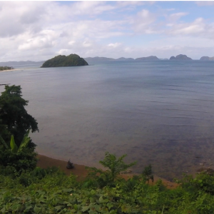 Corongcorong