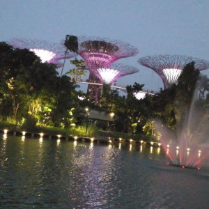 Gardens