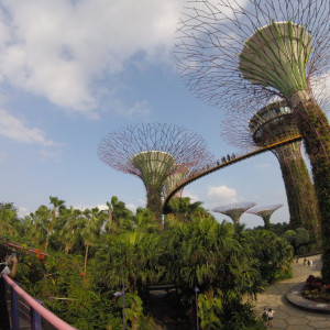 Gardens2