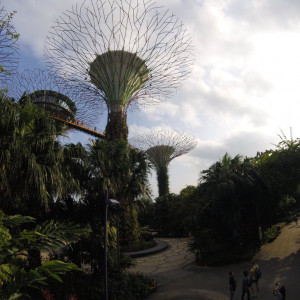 Gardens3