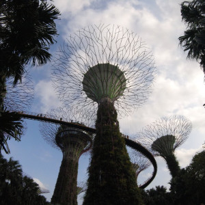 Gardens5
