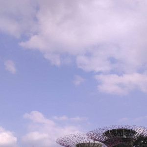 Gardens7