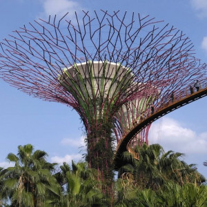 Gardens8
