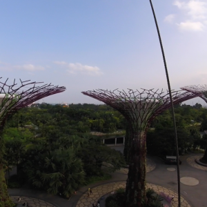 Gardens10